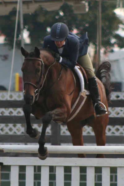 IMG_1201_edited-1-copy