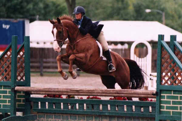 Christina Sussex Farm and Horse Show 2004_edited-1