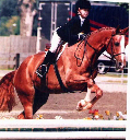 Kirsten Sussex Farm and Horse Show 2004_edited-1